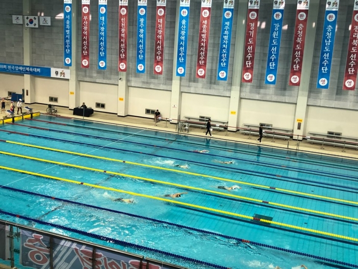 제38회 전국장애인체육대회 수영 사진